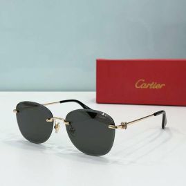 Picture of Cartier Sunglasses _SKUfw55113748fw